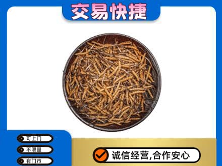 湖里区回收散虫草